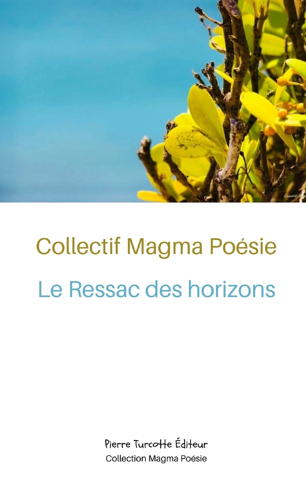 Le Ressac des horizons cover