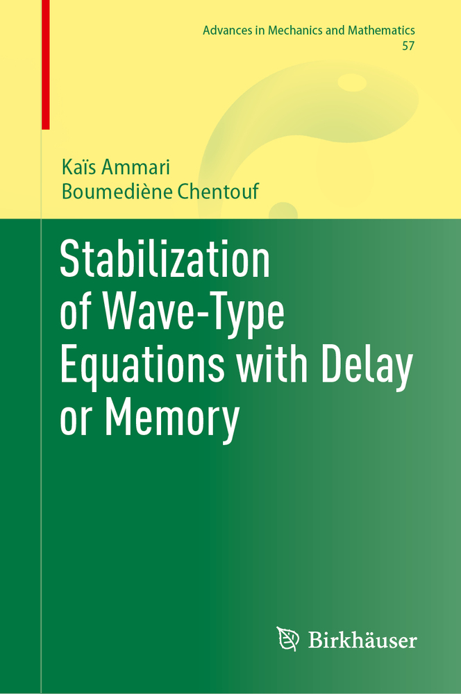 Stabilization of Wave-Type Equations with Delay or Memory cover