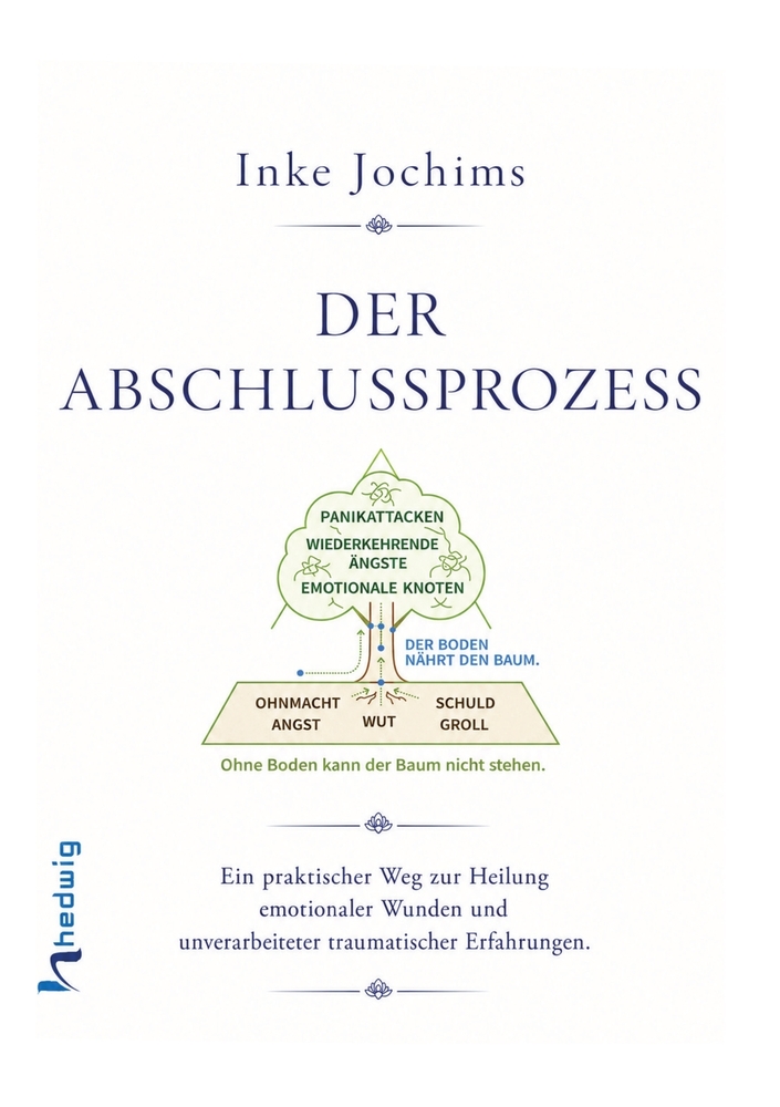 Der Abschlussprozess: Ein praktischer Weg zur Heilung emotionaler Wunden und unverarbeiteter traumatischer Erfahrungen. cover