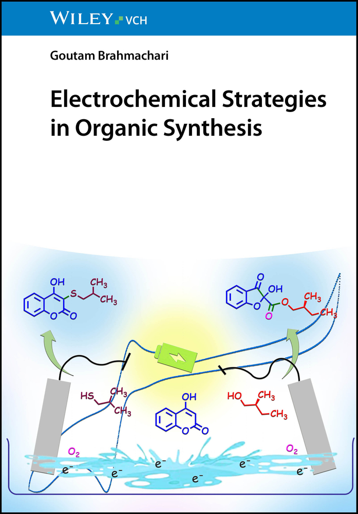 Electrochemical Strategies in Organic Synthesis cover