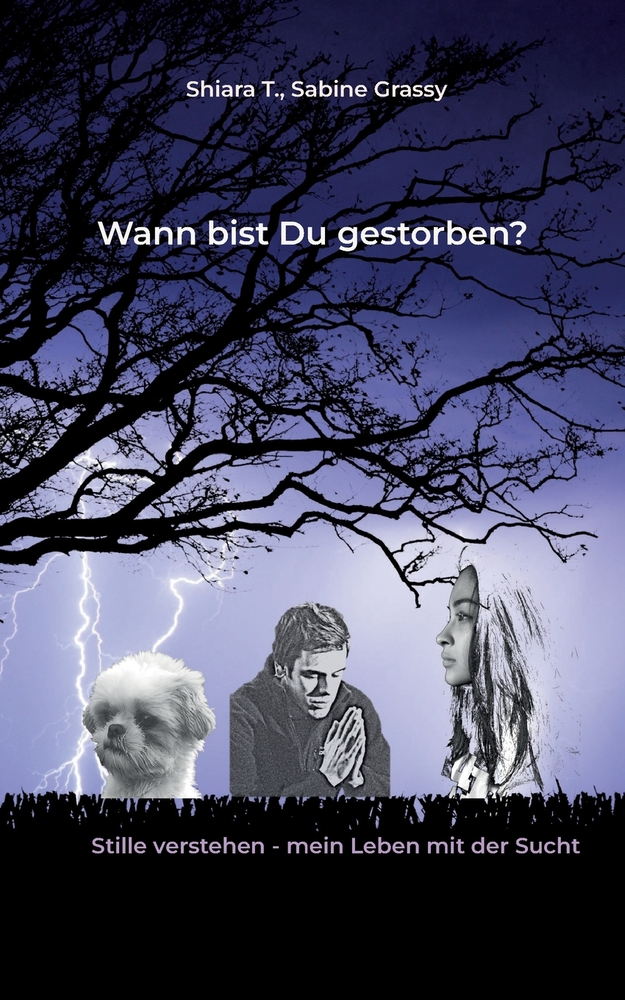 Wann bist Du eigentlich gestorben?: Stille verstehen - mein Leben mit der Sucht cover