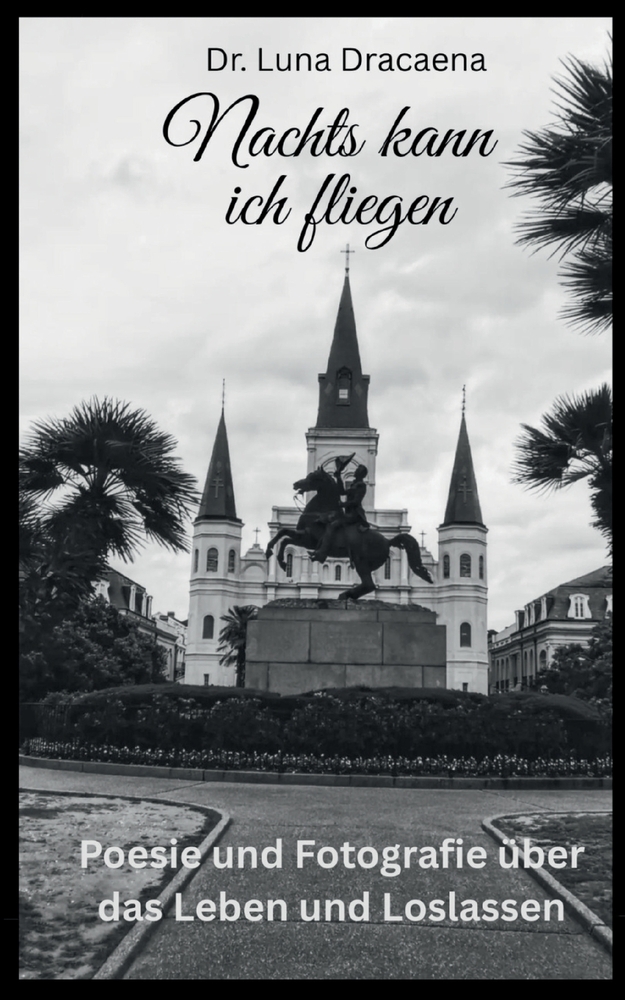 Nachts kann ich fliegen: Poesie und Fotografie über das Leben und Loslassen cover