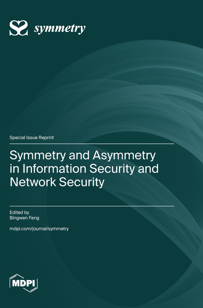 Symmetry and Asymmetry in Information Security and Network Security cover