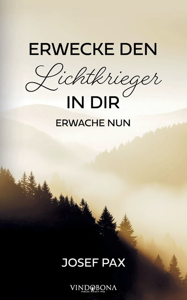 Erwecke den Lichtkrieger in dir: Erwache nun cover