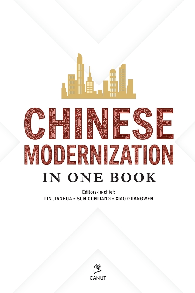 Chinese Modernization in One Book cover