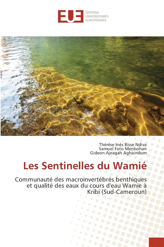 Les Sentinelles du Wamié cover