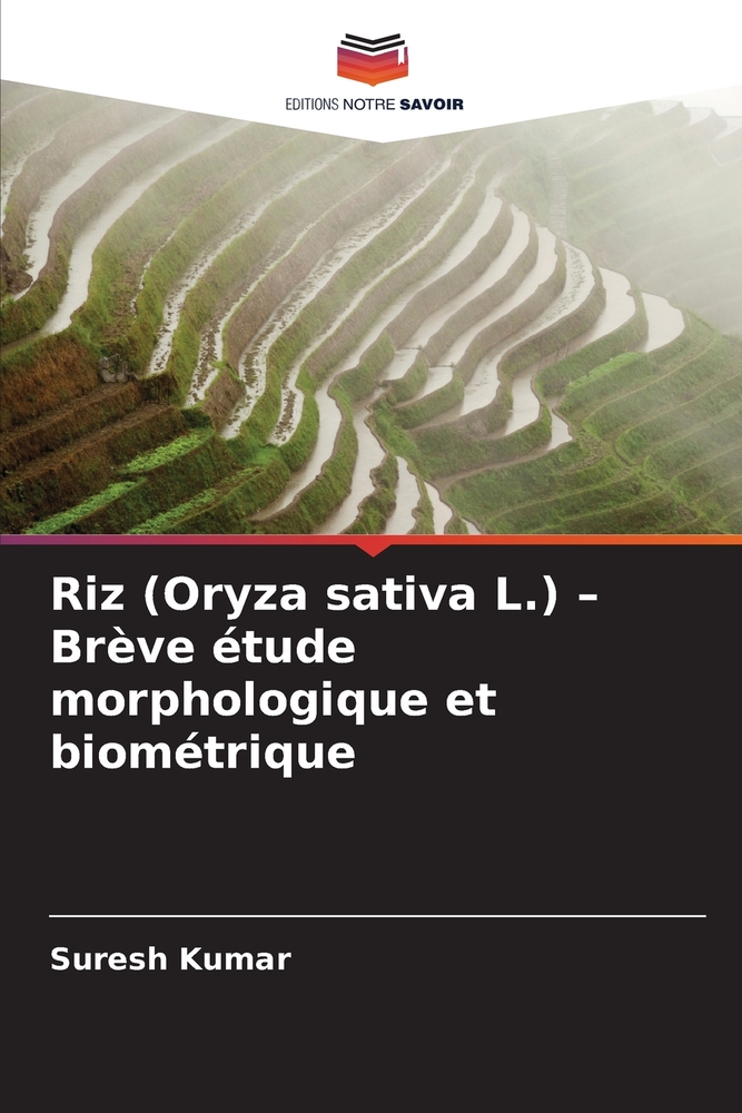 Riz (Oryza sativa L.) - Brève étude morphologique et biométrique cover