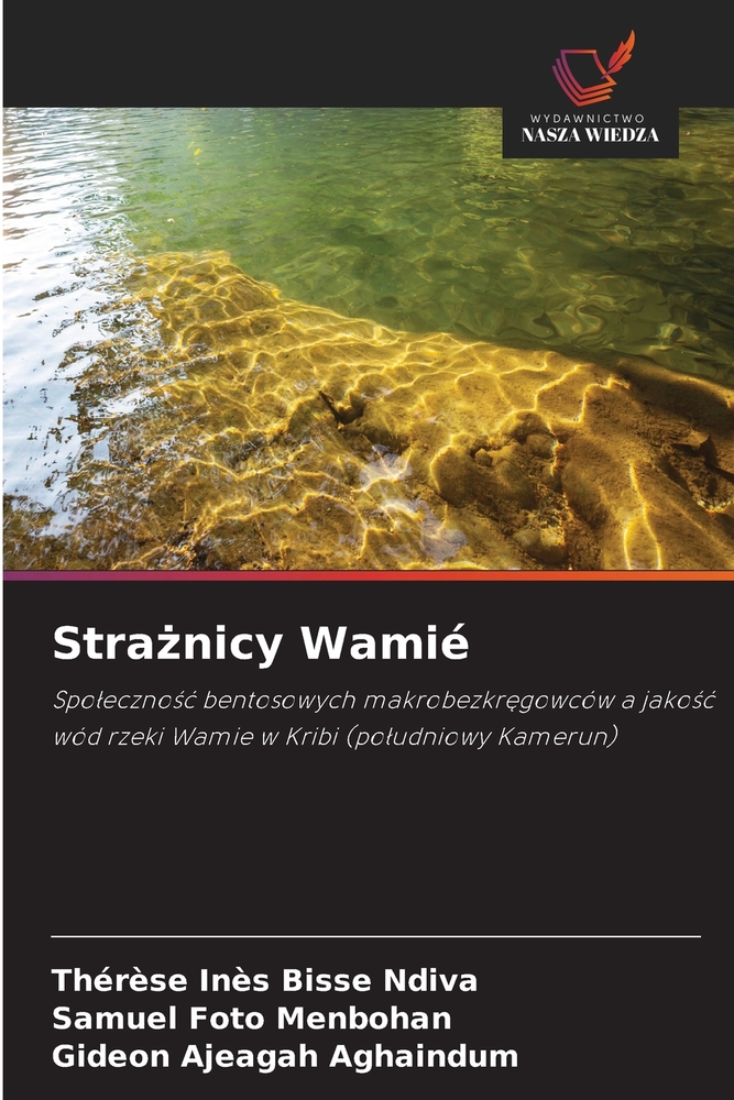 Strażnicy Wamié cover