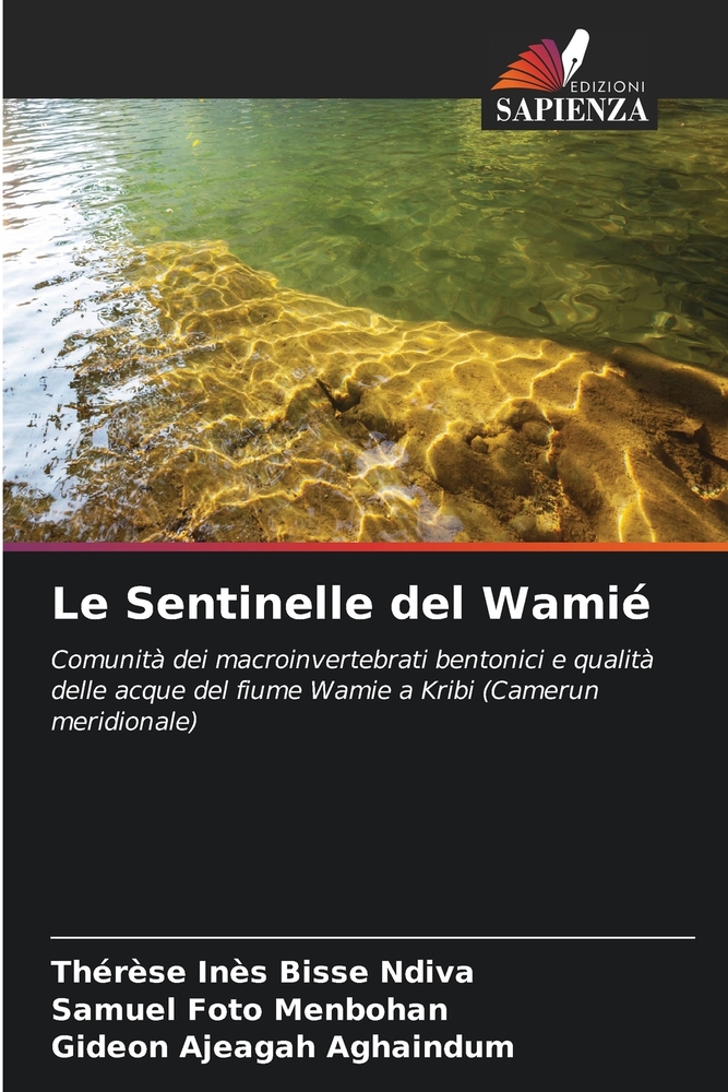 Le Sentinelle del Wamié cover