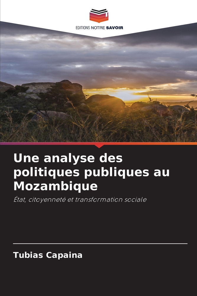 Une analyse des politiques publiques au Mozambique cover