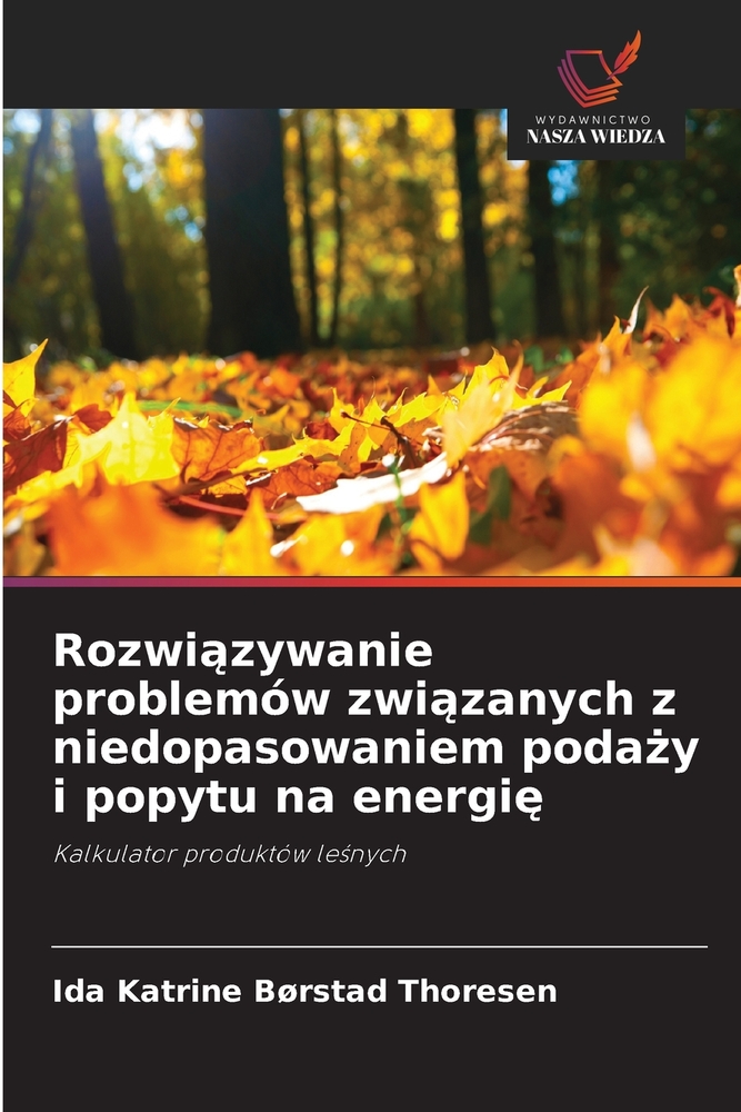 Rozwiązywanie problemów związanych z niedopasowaniem podaży i popytu na energię cover