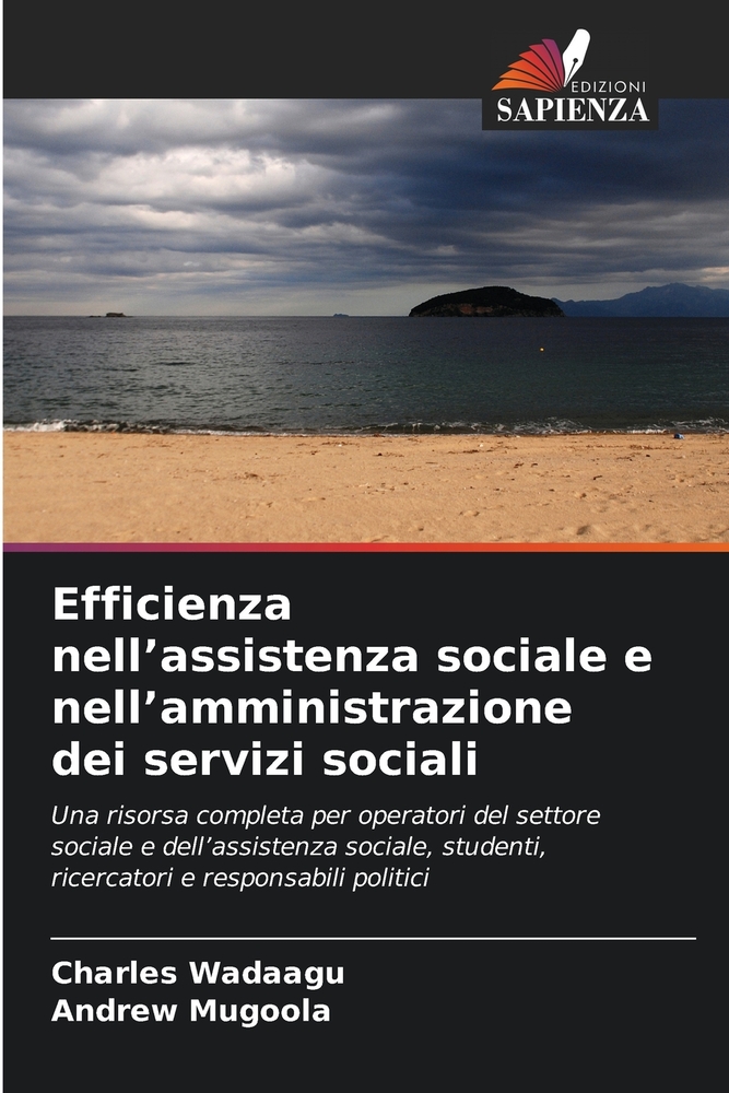 Efficienza nell'assistenza sociale e nell'amministrazione dei servizi sociali cover