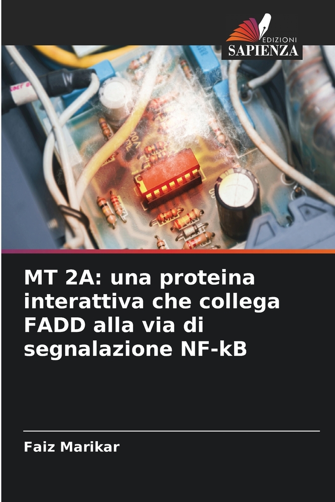 MT 2a: una proteina interattiva che collega FADD alla via di segnalazione NF-kB cover