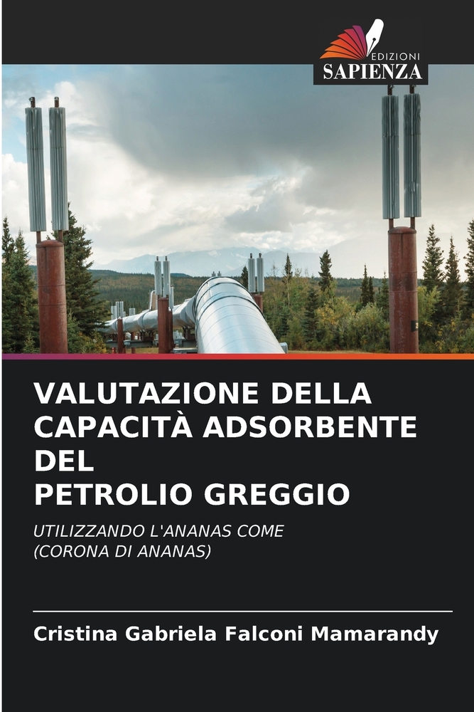 Valutazione Della Capacità Adsorbente del Petrolio Greggio cover