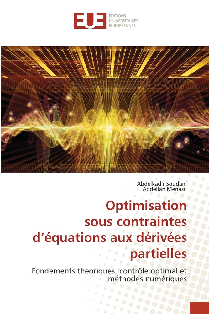 Optimisation sous contraintes d'équations aux dérivées partielles cover