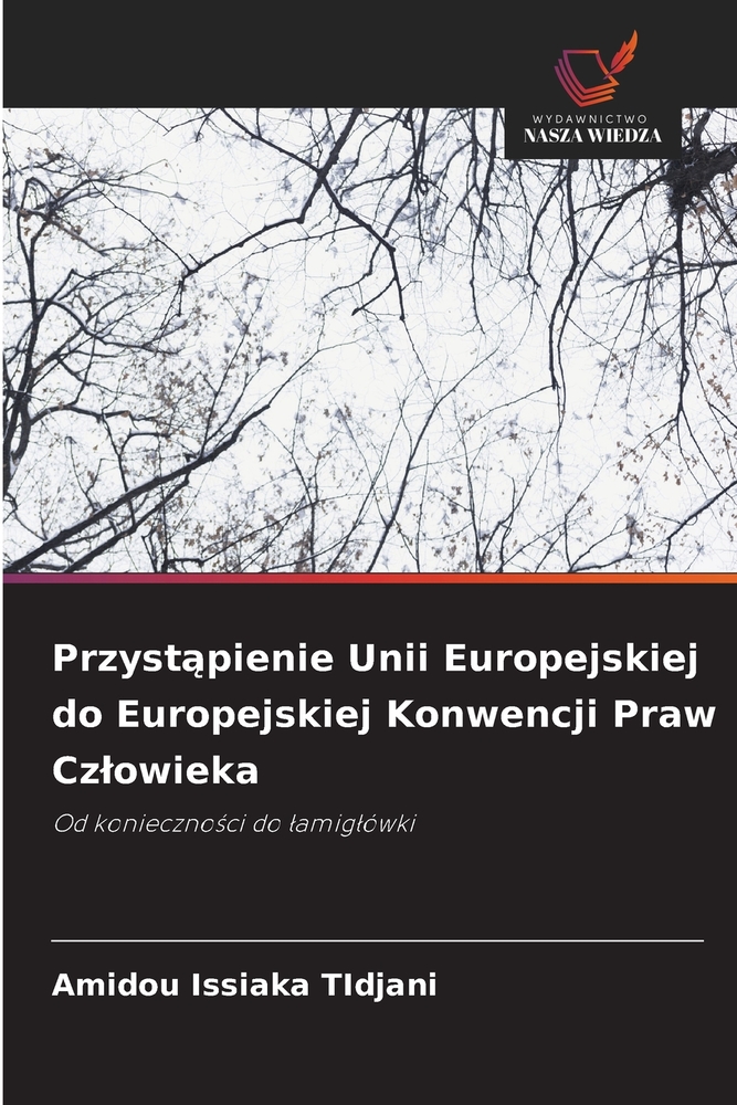 Przystąpienie Unii Europejskiej do Europejskiej Konwencji Praw Czlowieka cover