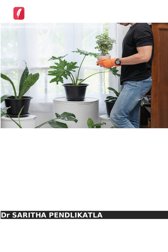 OS Remedios Naturais Contra O Stress cover