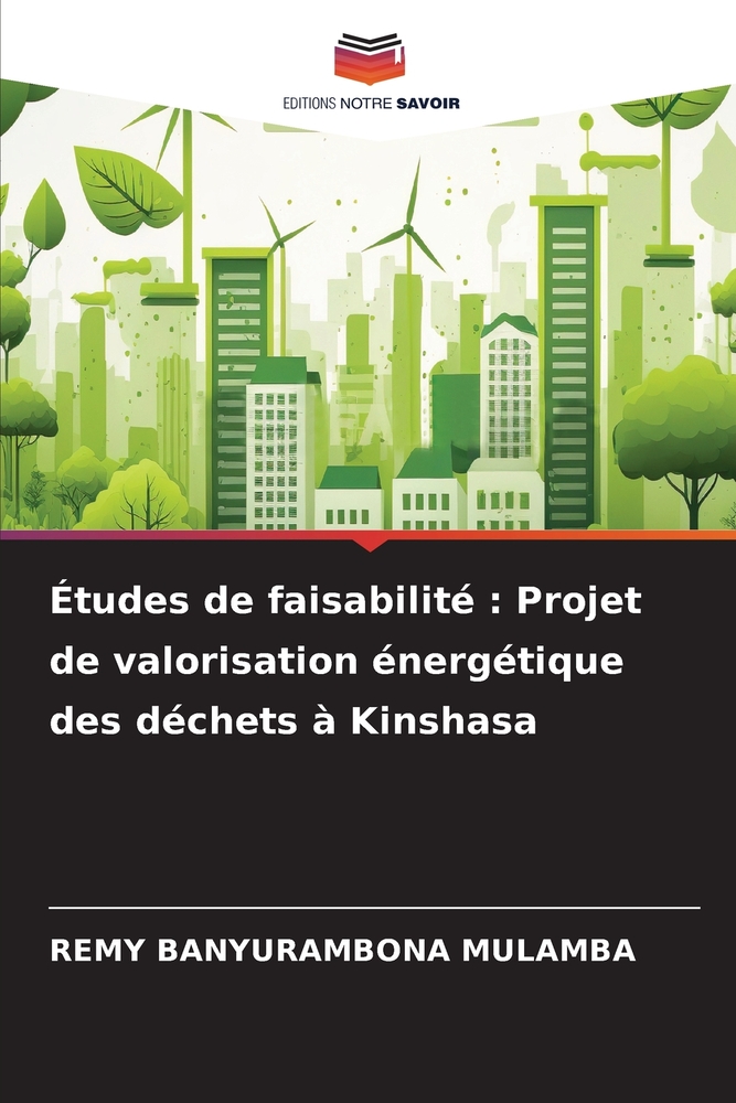 Études de faisabilité: Projet de valorisation énergétique des déchets à Kinshasa cover