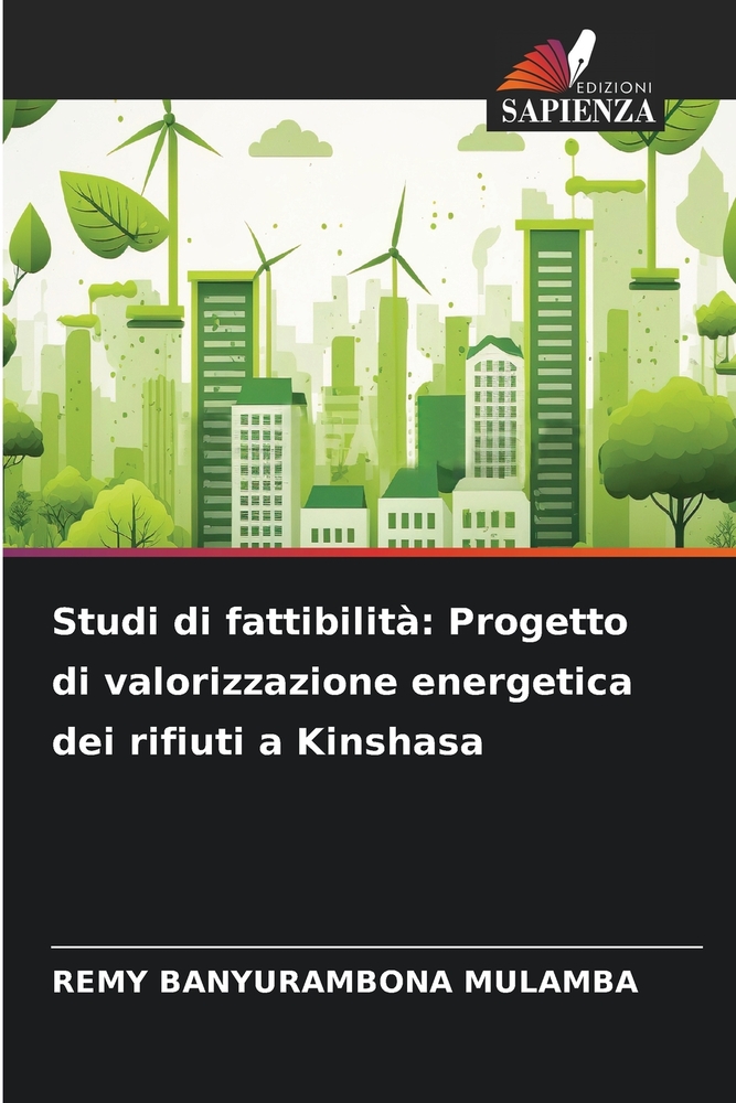 Studi di fattibilità: Progetto di valorizzazione energetica dei rifiuti a Kinshasa cover