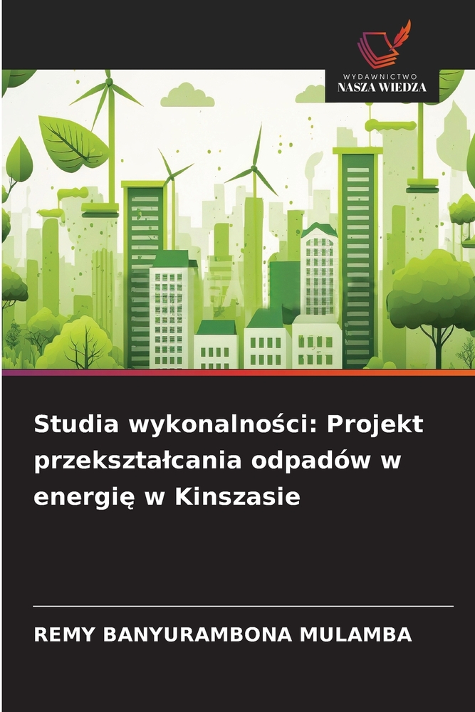 Studia wykonalności: Projekt przeksztalcania odpadów w energię w Kinszasie cover