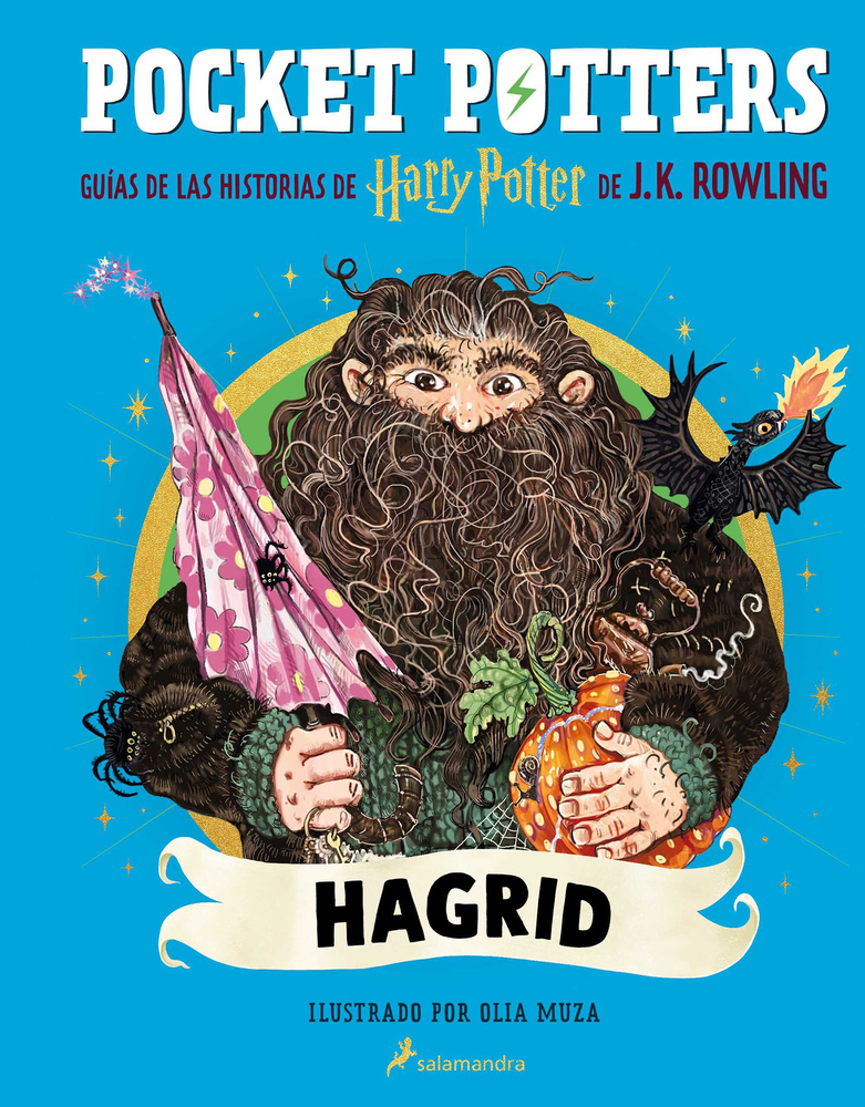 Pocket Potters: Dobby (Spanish Edition) cover