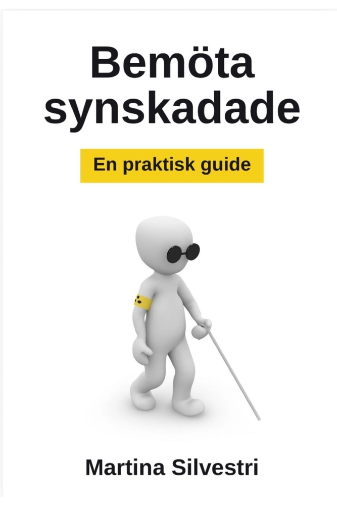 Bemöta synskadade: En praktisk guide! cover