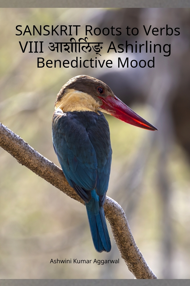 Sanskrit Roots to Verbs VIII Ashirling Benedictive Mood cover