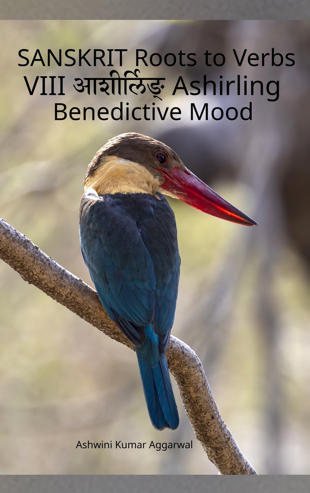 Sanskrit Roots to Verbs VIII Ashirling Benedictive Mood cover