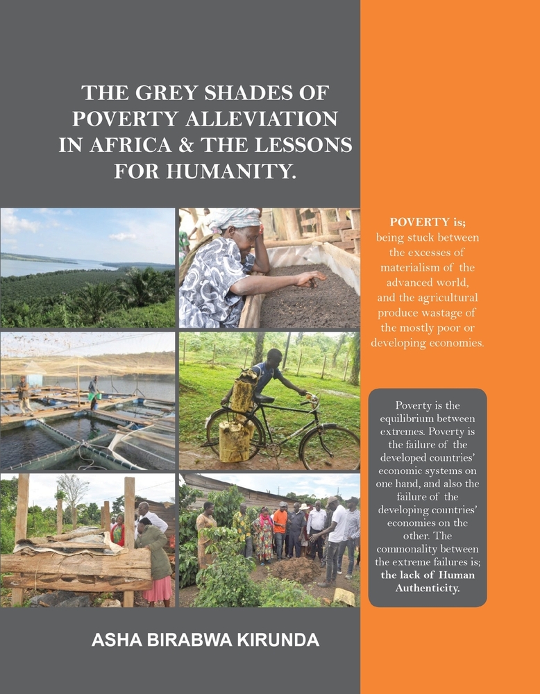 The Grey Shades of Poverty Alleviation in Africa & the Lessons for Humanity cover