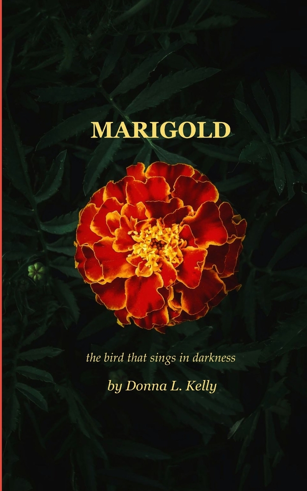 Marigold the bird that sings in darkness cover