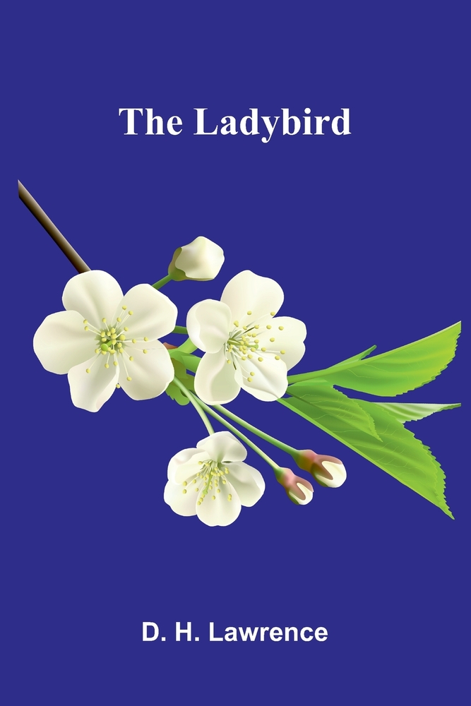 The Ladybird cover