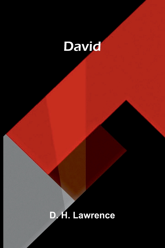 David cover