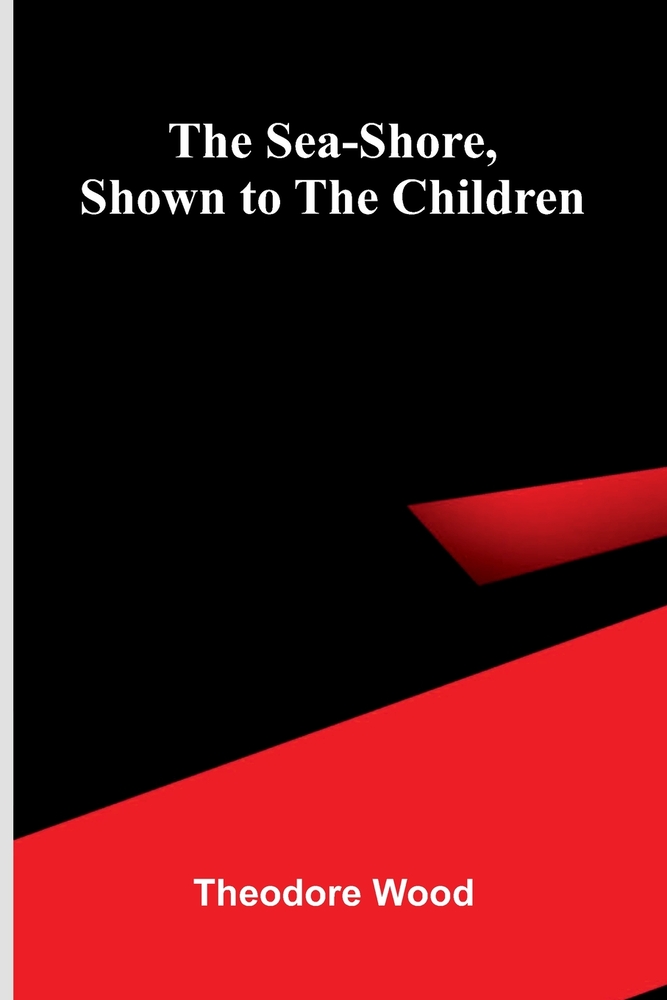 The Sea-Shore, Shown to the Children cover