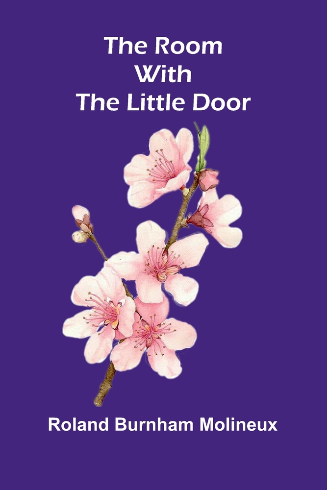 The Room with the Little Door cover