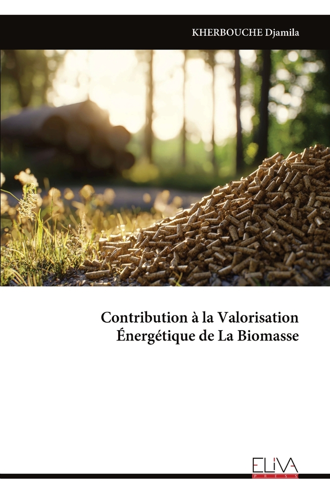 Contribution à la Valorisation Énergétique de La Biomasse cover