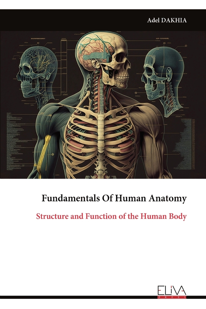 Fundamentals Of Human Anatomy: Structure and Function of the Human Body cover