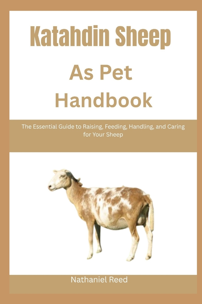 Katahdin Sheep as Pet Handbook: The Essential Guide to Raising, Feeding, Handling, and Caring for Your Sheep cover