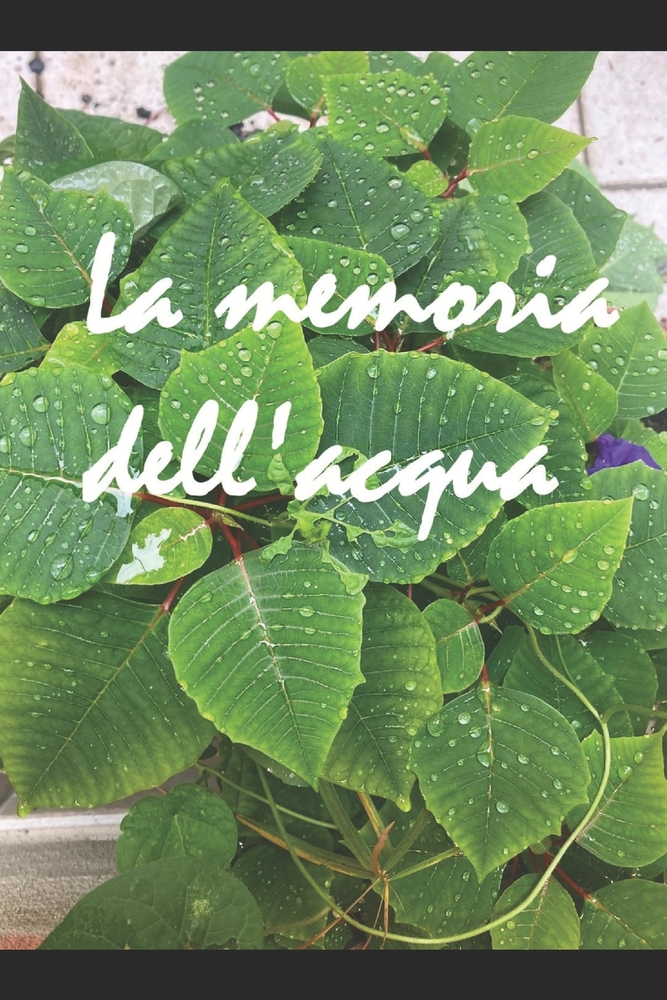 La memoria dell'acqua cover