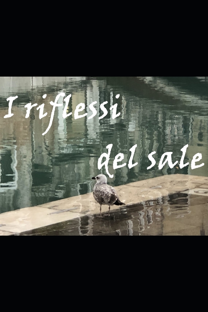 I riflessi del sale cover