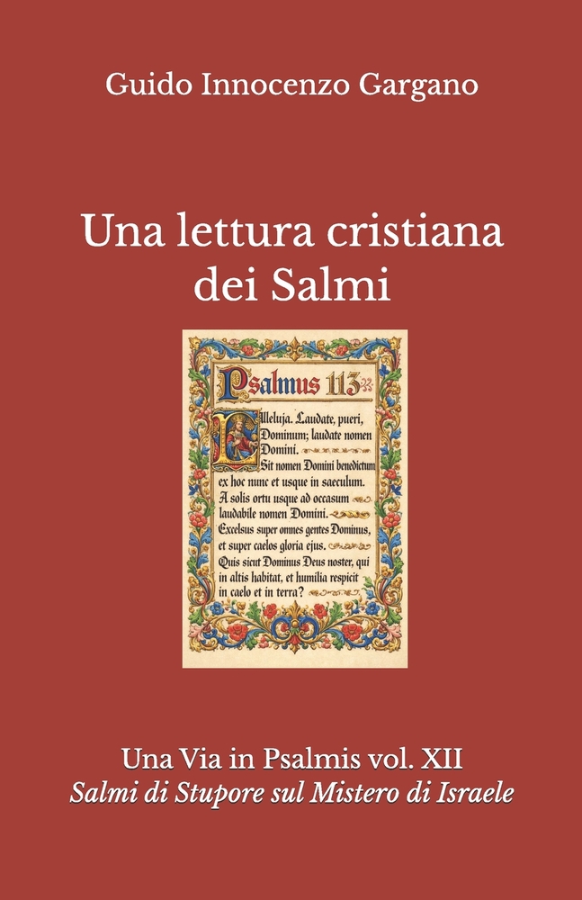 Una lettura cristiana dei Salmi - Volume Dodicesimo: Salmi di Stupore sul Mistero di Israele - Gioia, Speranza e Canto Nuovo cover