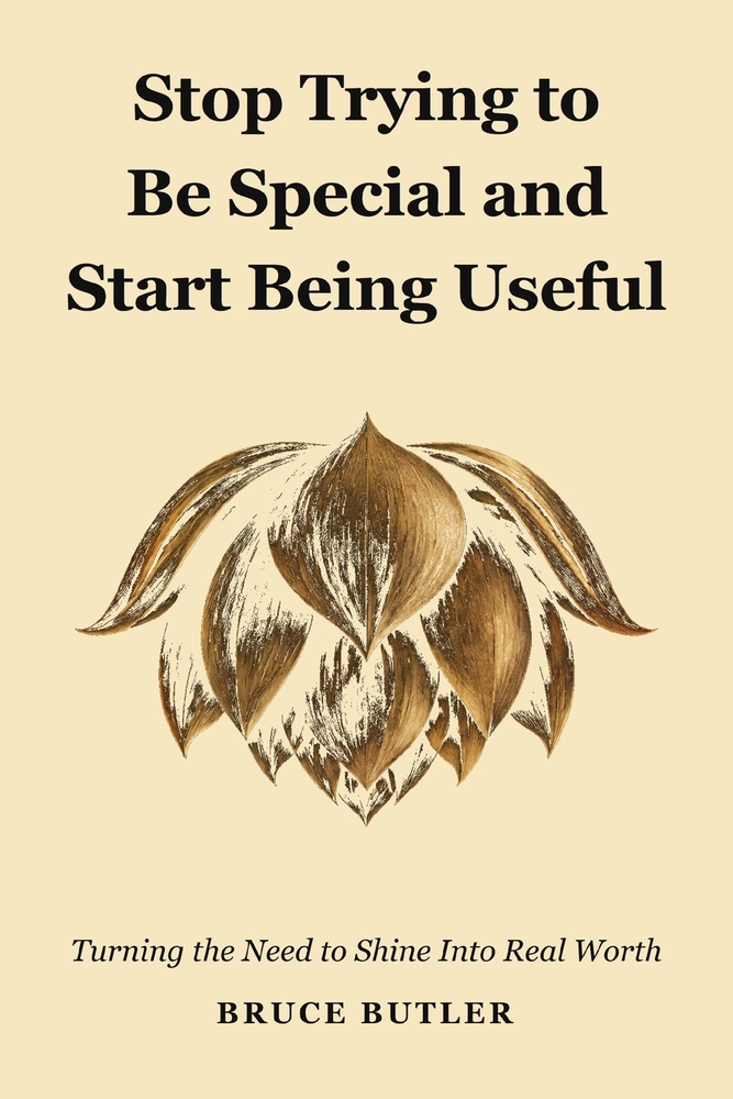 Stop Trying To Be Special And Start Being Useful: Turning The Need To Shine Into Real Worth cover