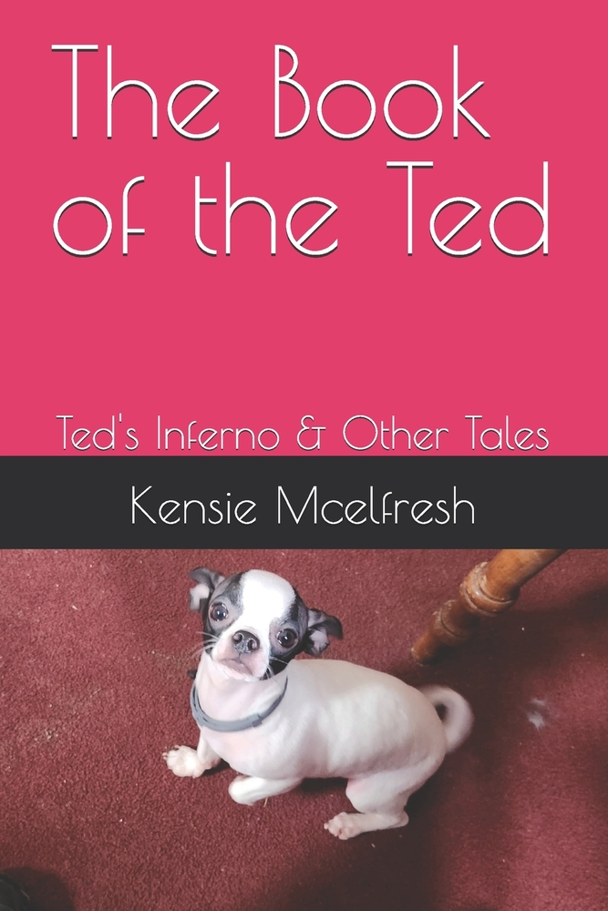 The Book of the Ted: Ted's Inferno & Other Tales cover