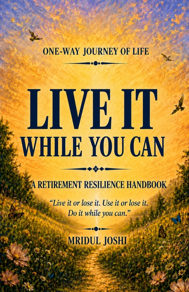 Live It While You Can: A Retirement Resiliance Handbook cover