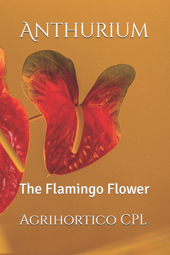 Anthurium: The Flamingo Flower cover