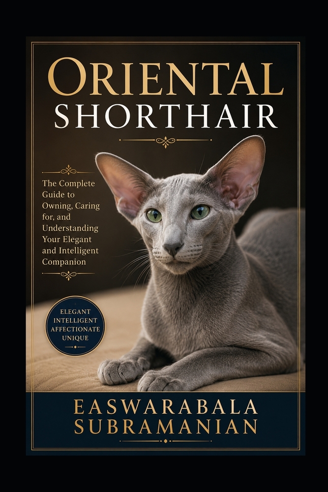Oriental Shorthair cover