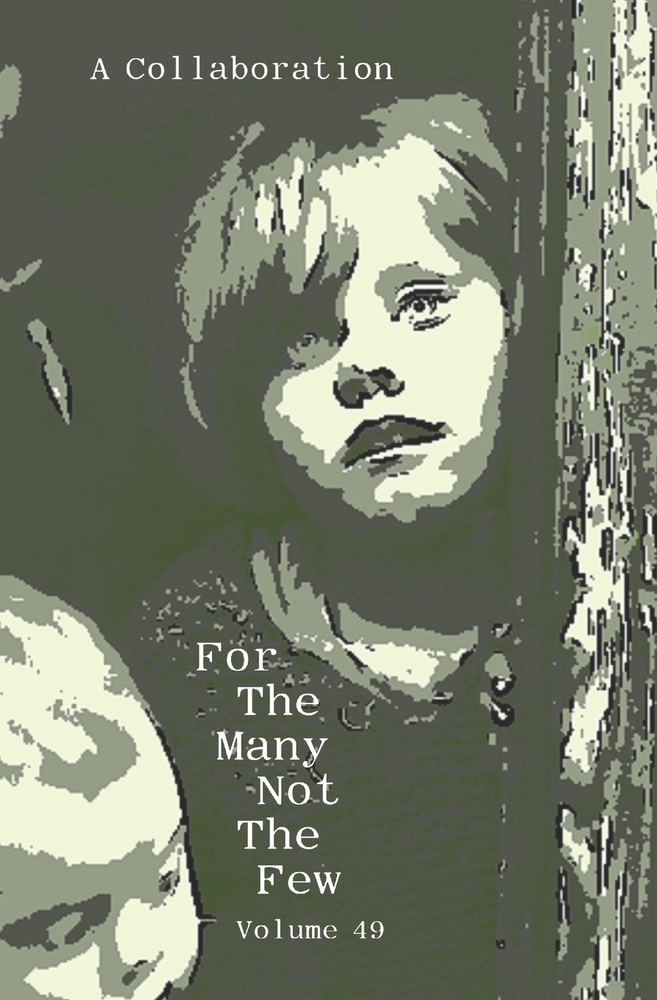 For The Many Not The Few Volume 49 cover