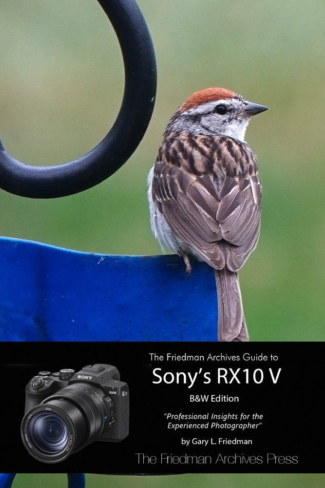 The Friedman Archives Guide to Sony's RX10 V (B&W Edition) cover