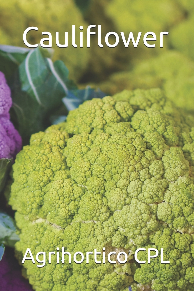 Cauliflower cover