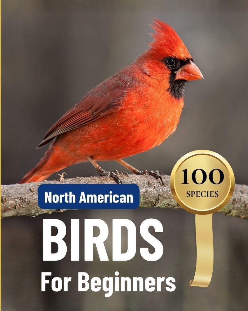 North American Birds for Beginners: A Bird Watching Guide with One Page Per Bird: Identify 100 Common Species by Four Quick Checks, with Look-Alike Co cover