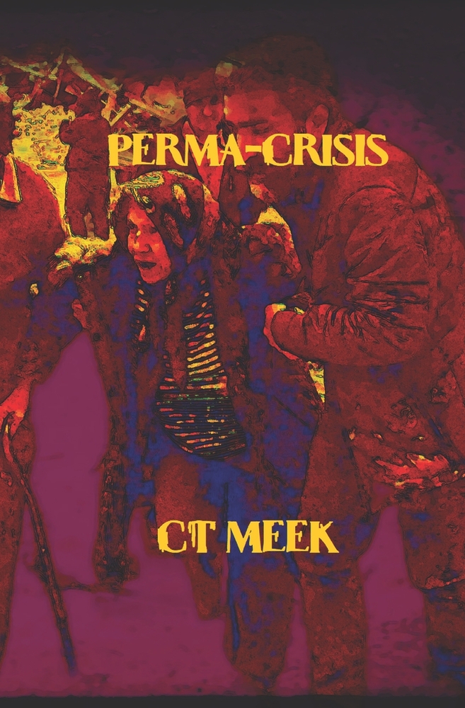 Perma-Crisis cover
